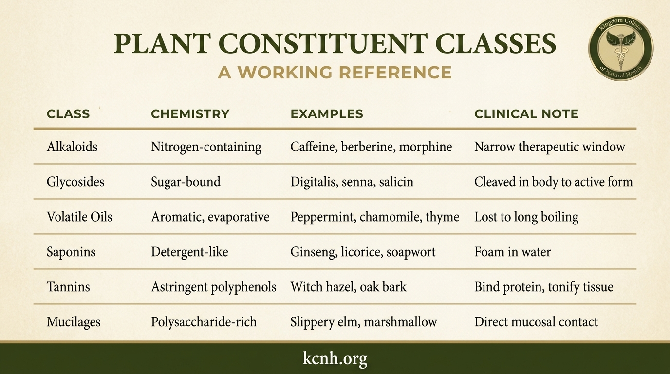 Plant Constituent Classes Reference Table Plant constituent classes comparison table with chemistry examples and clinical notes.