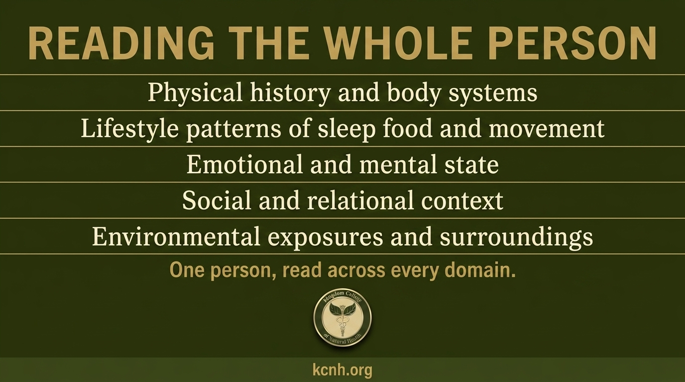 Reading the Whole Person: The Domains of a Case Quick-reference card listing the five domains a whole-person case analysis gathers.